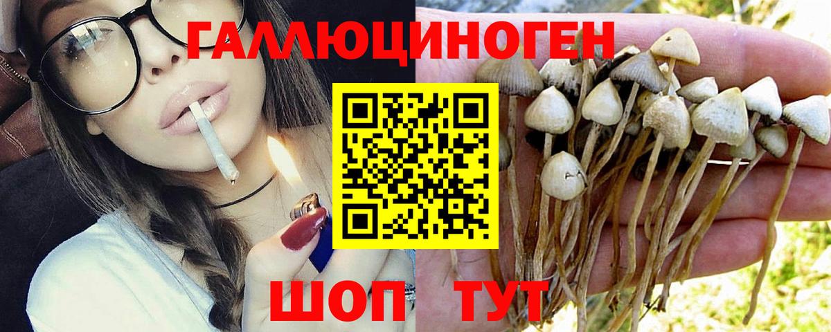 Галлюциногенные грибы мицелий  Вход с VPN  Хабаровск 