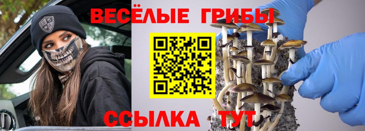 Галлюциногенные грибы GOLDEN TEACHER Хабаровск
